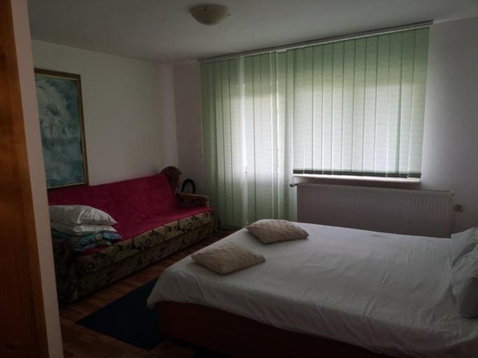 Casa Pelerinului Apartment Capatineni-Paminteni Ngoại thất bức ảnh