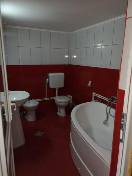 Casa Pelerinului Apartment Capatineni-Paminteni Ngoại thất bức ảnh
