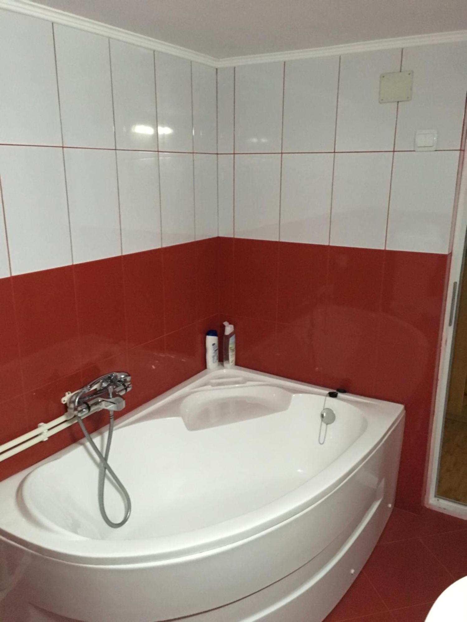 Casa Pelerinului Apartment Capatineni-Paminteni Ngoại thất bức ảnh